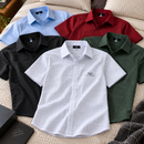 [LEVE 5 PAGUE 3] Camisa Masculina Vercano em Algodão e Poliéster (Qualidade de Verdade!)